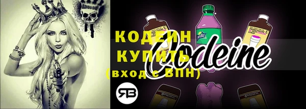 Альфа ПВП Лагань