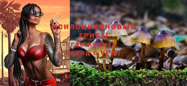первитин Лабытнанги