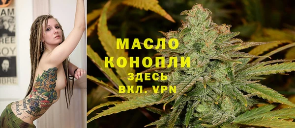 Альфа ПВП Лагань