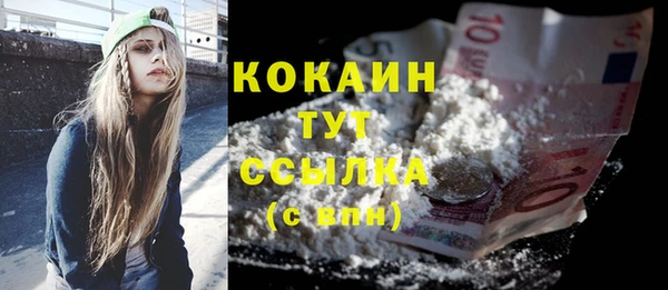 Альфа ПВП Лагань