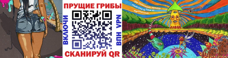Галлюциногенные грибы мицелий  Новошахтинск 