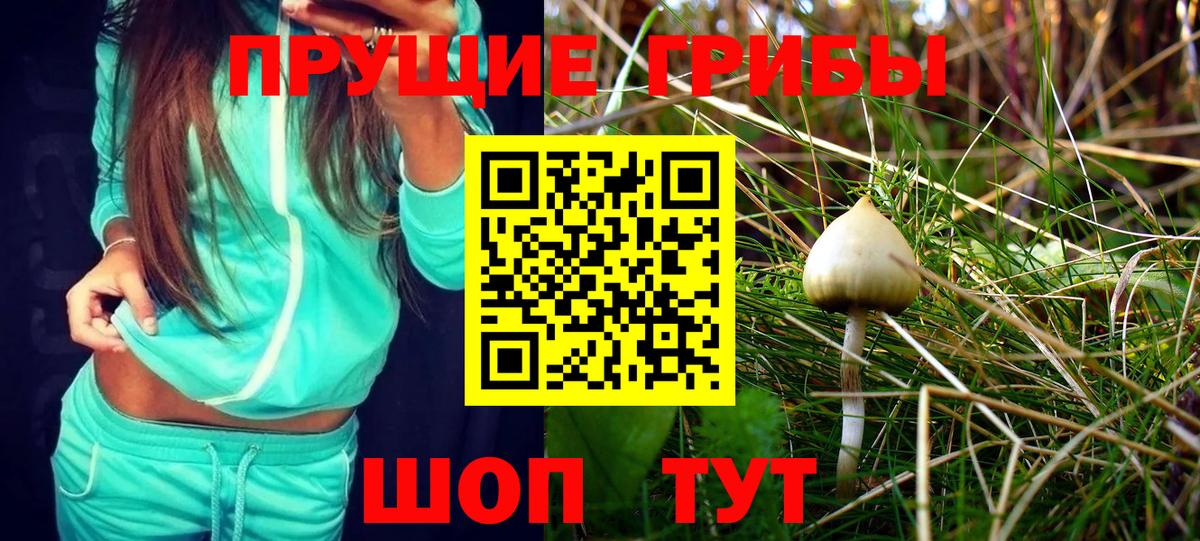 Псилоцибиновые грибы ЛСД  Галлюциногенные грибы MAGIC MUSHROOMS  Вход с VPN  купить наркоту  Новошахтинск 