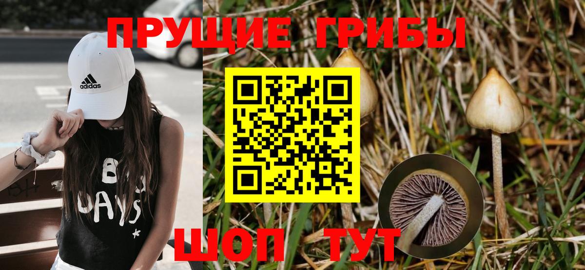 МЕФ  Хэш  Новошахтинск  Купить наркоту  Канабис  Мяу-Мяу  Вход с VPN  LSD-25  КОКАИН  Alpha PVP 