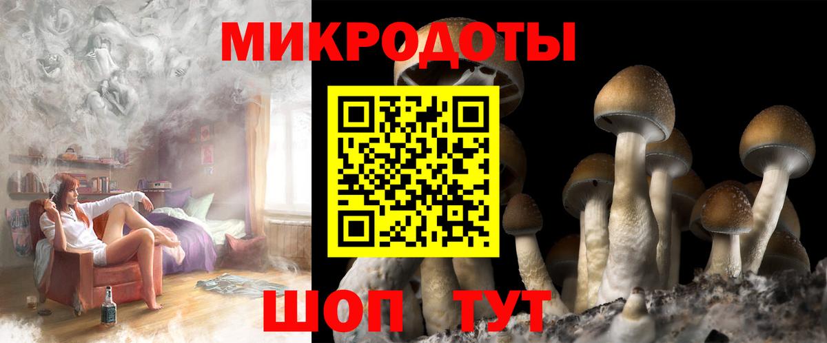 Псилоцибиновые грибы GOLDEN TEACHER Новошахтинск